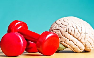 Mantener el cerebro sano hasta la vejez… ¿cómo?